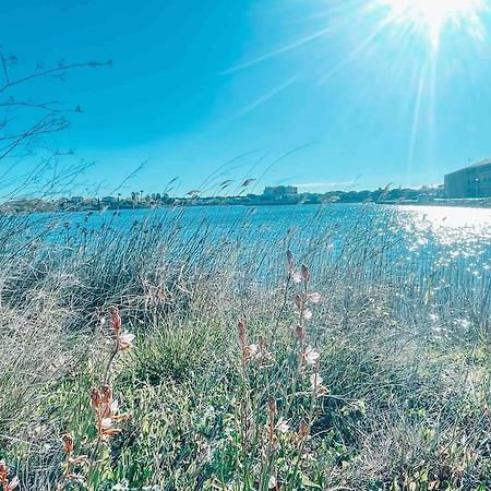 La Casita ,Appartement Face A L'Etang Le Barcarès Exterior foto